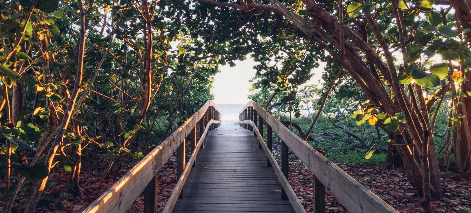 Imagine more than you can see