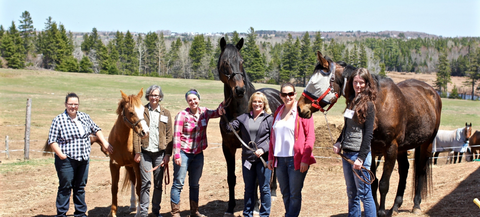 How can a horse teach you about yourself?