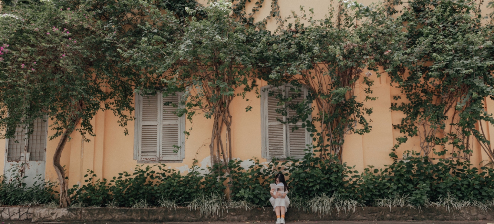 What Napoleon taught me about life