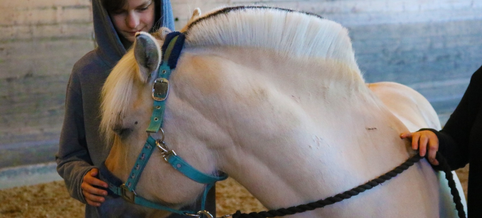 Our Journey Around the World - Amsterdam & Denmark