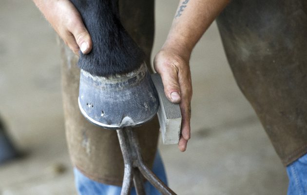 Interview With Farrier Jason Skoog