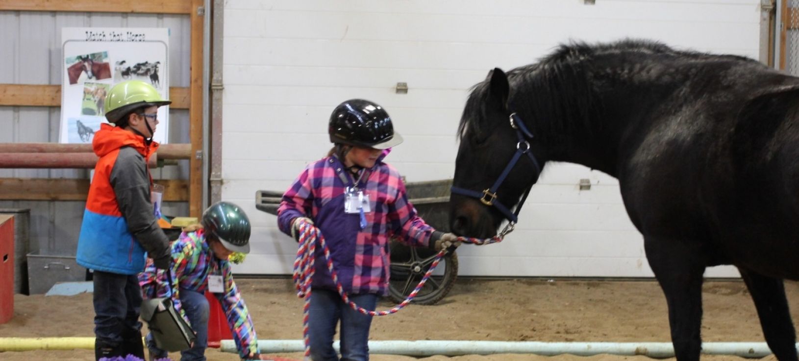 Out of The Mouths of Babes!