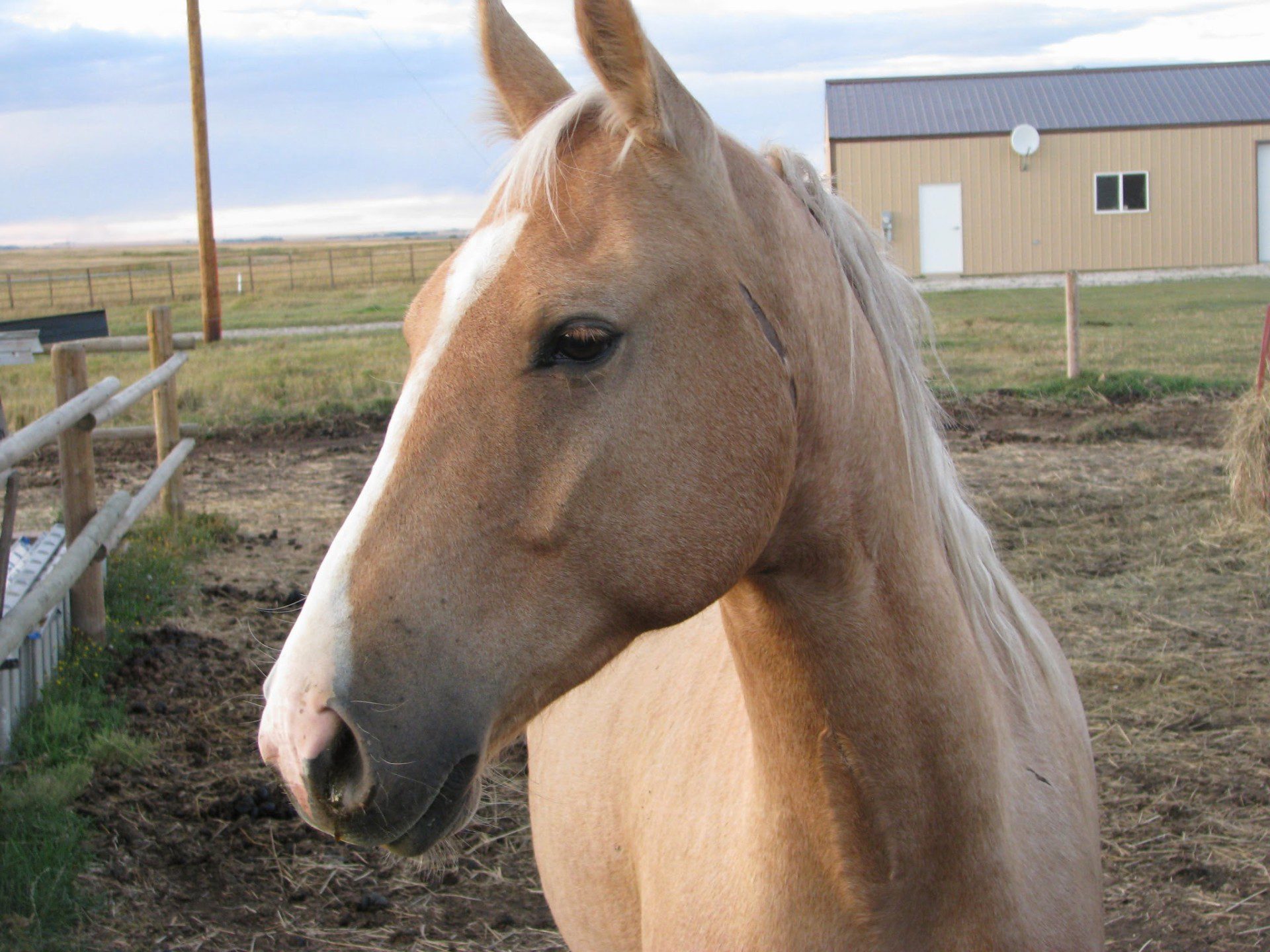 Does Good Health = Good Welfare