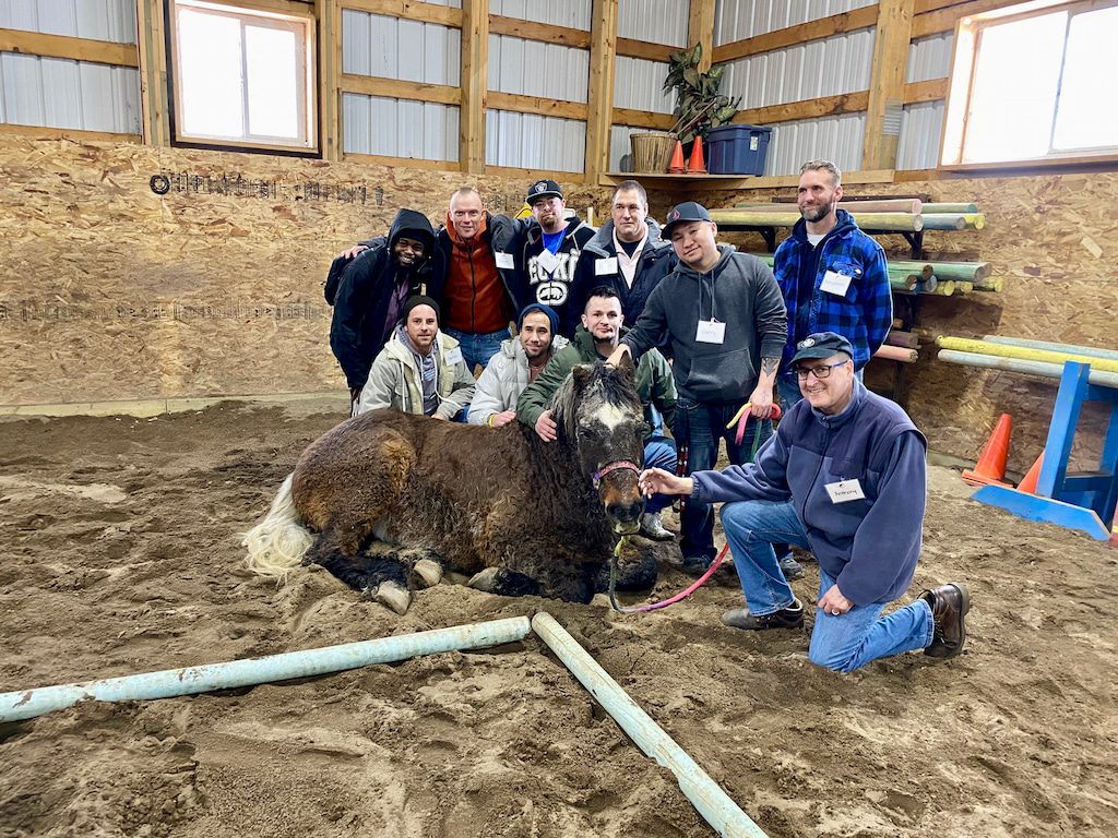 What Is Equine Assisted Learning? PART THREE