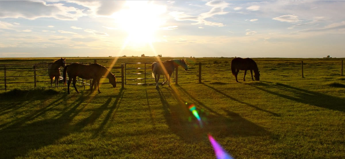 "Hold on to your butts..."