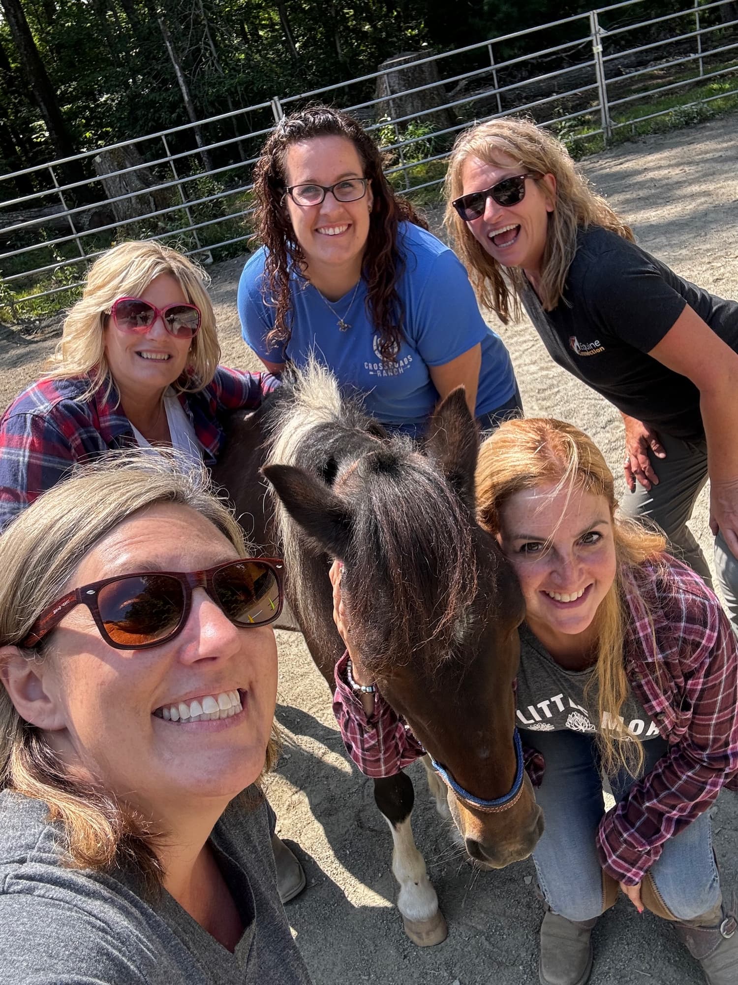 Calgary Ab Levelled Up: Where Horses Teach Humans How to Lead October 21-22, 2027