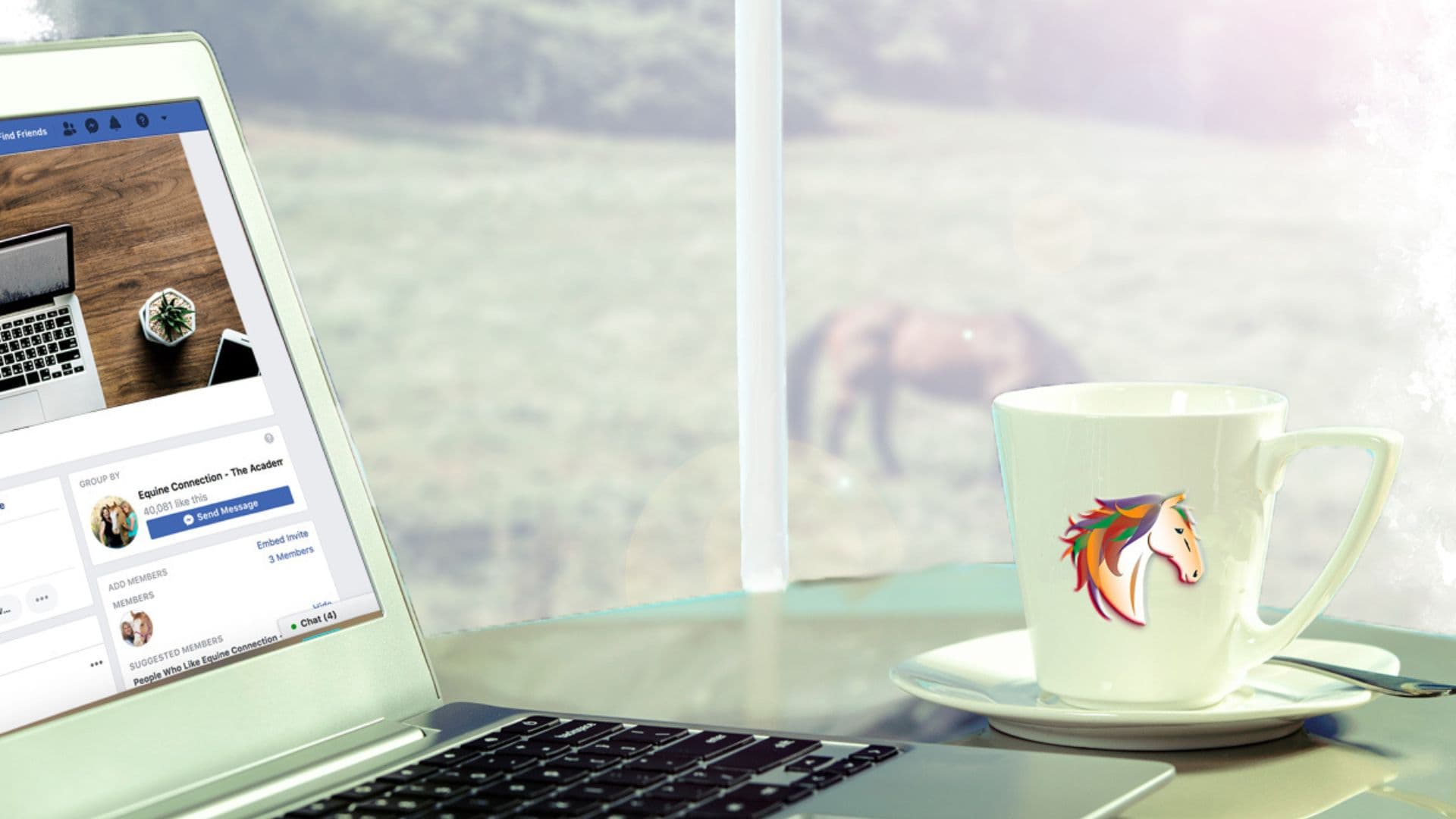 A Comprehensive Safety Session for Equine Assisted Work with Sara Lavoie