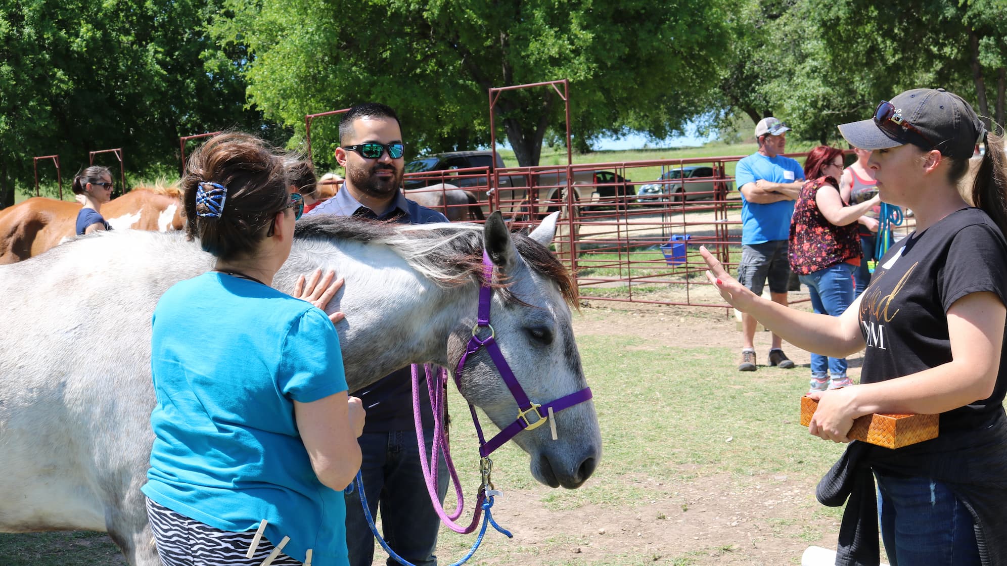 Woodstock ON In-Person Training, Aug 14 - Aug 16, 2026