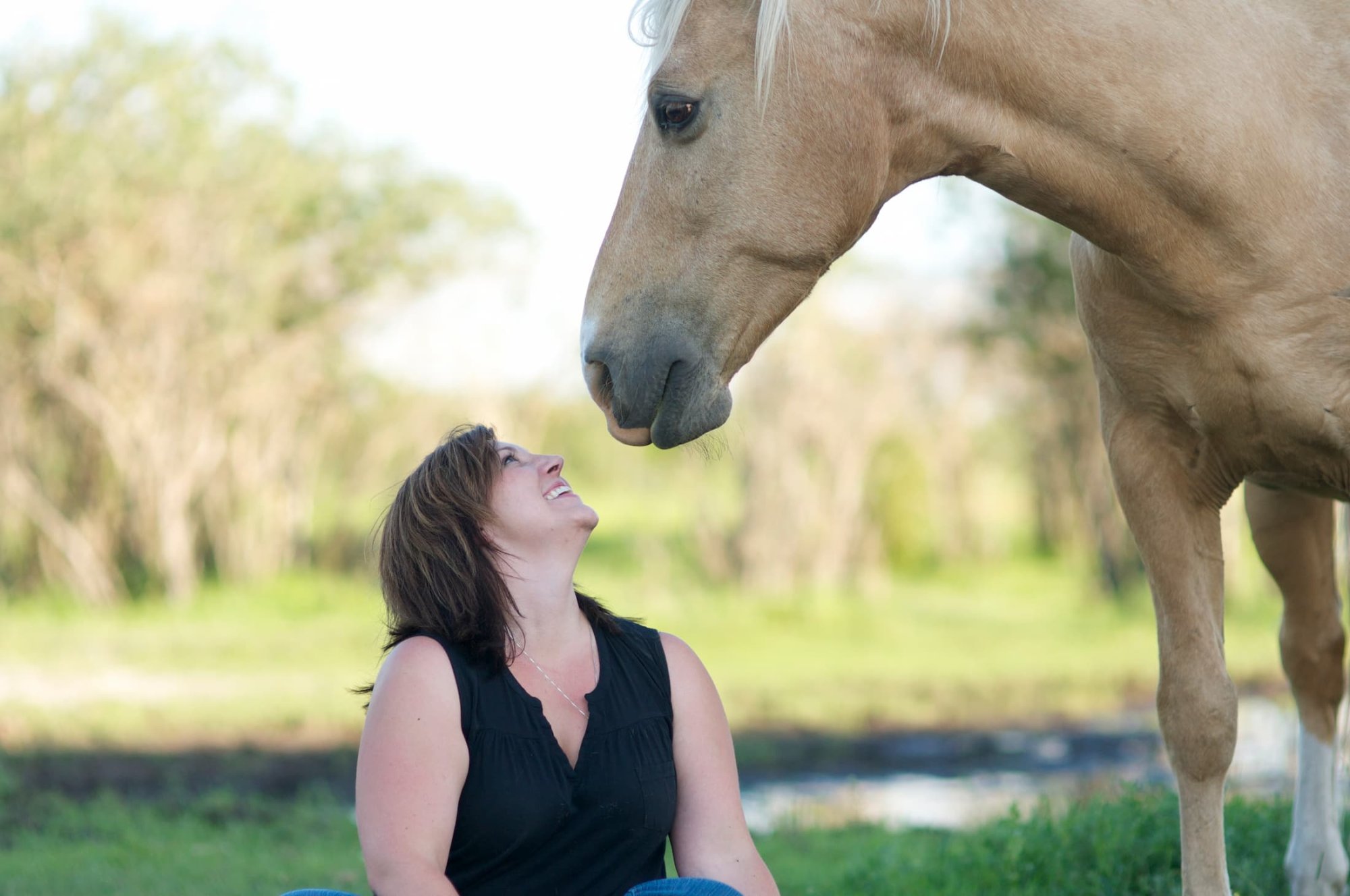 Certified Facilitator Training - Get A Walkthrough Of The New Business Pack And Community