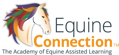 Equine Connection - Staging 2025