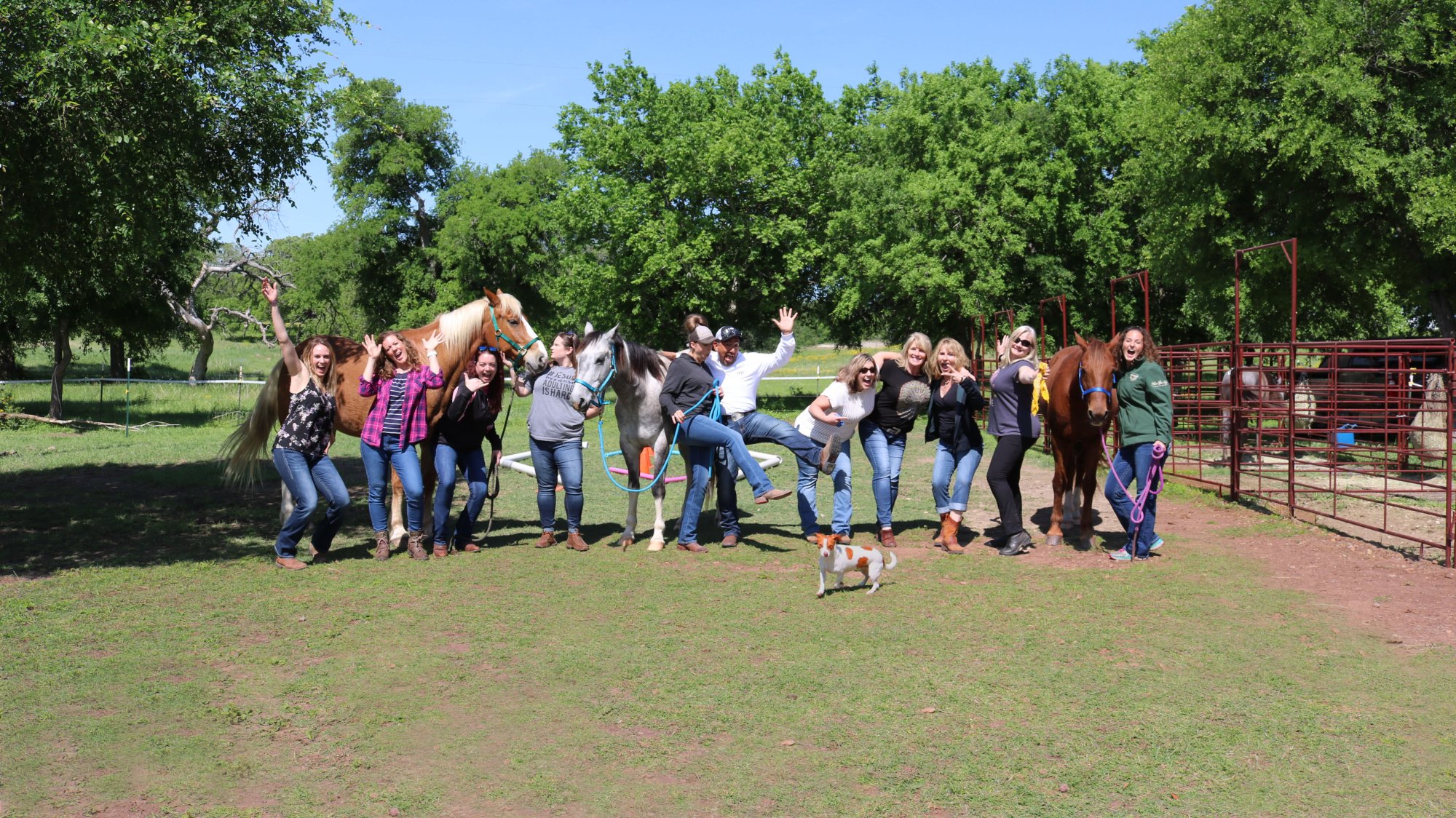 Levelled Up: Where Horses Teach Humans How to Lead